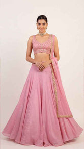 Blossom Pink Lehenga Set with Minimalisic Golden Hand Embroidery