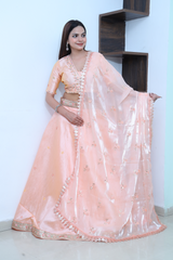 Peachy Pink Lehenga set with Hand embroidered sequin work