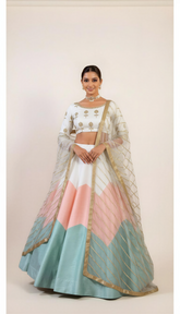 Chalk White Lehenga Set with Golden Embroidery Handwork