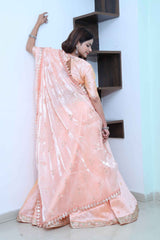 Peachy Pink Lehenga set with Hand embroidered sequin work