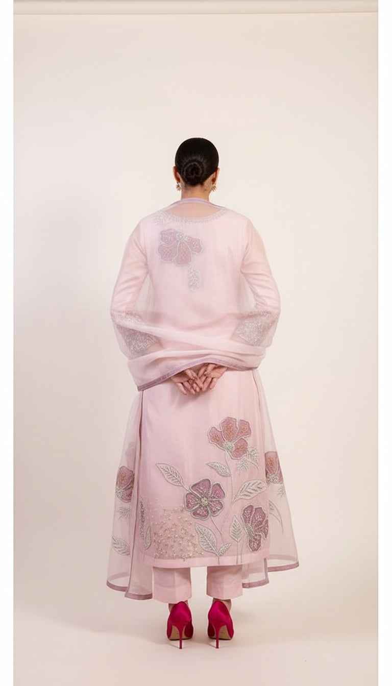 Blush Pastel Pink Suit Set with handpainted and embroidery Dupatta